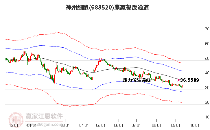 688520神州细胞赢家极反通道工具