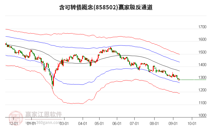 858502含可转债赢家极反通道工具