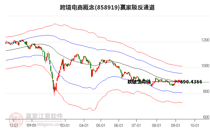 858919跨境电商赢家极反通道工具