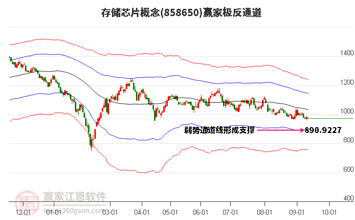 858650存储芯片赢家极反通道工具