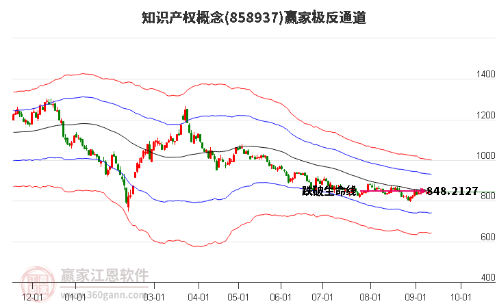 858937知识产权赢家极反通道工具