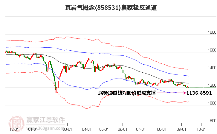 858531页岩气赢家极反通道工具