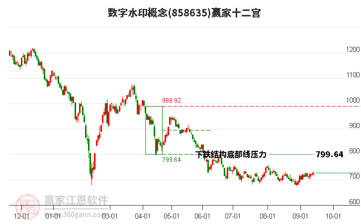 858635数字水印赢家十二宫工具