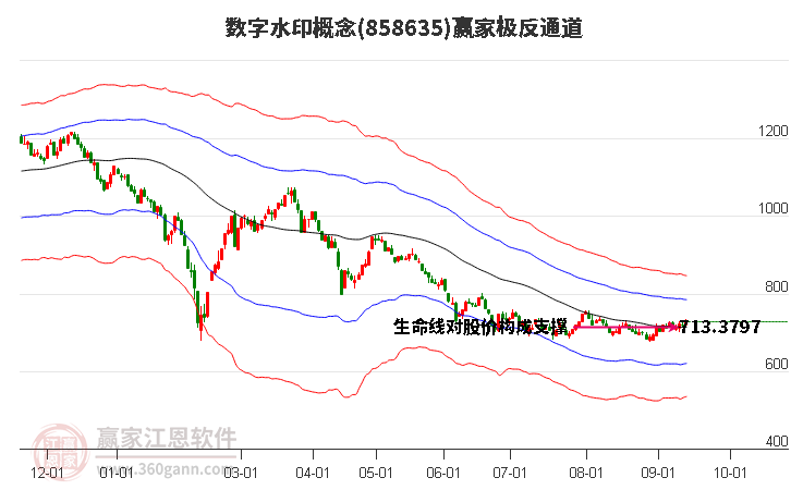 858635数字水印赢家极反通道工具