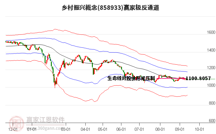 858933乡村振兴赢家极反通道工具