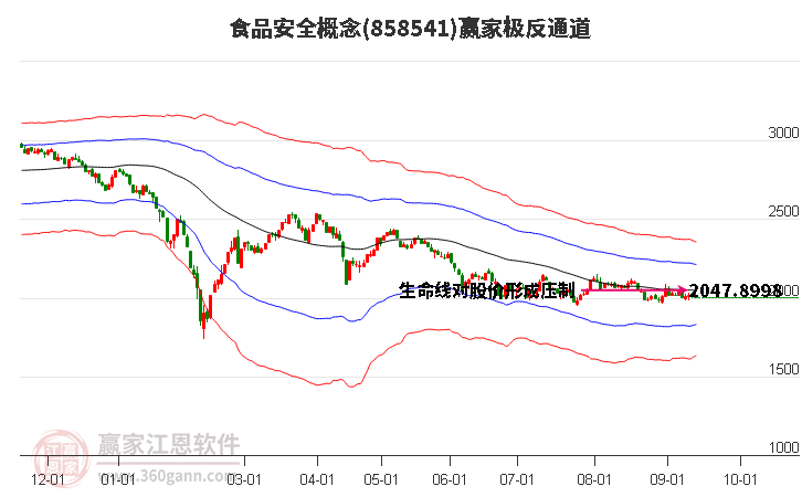 858541食品安全赢家极反通道工具