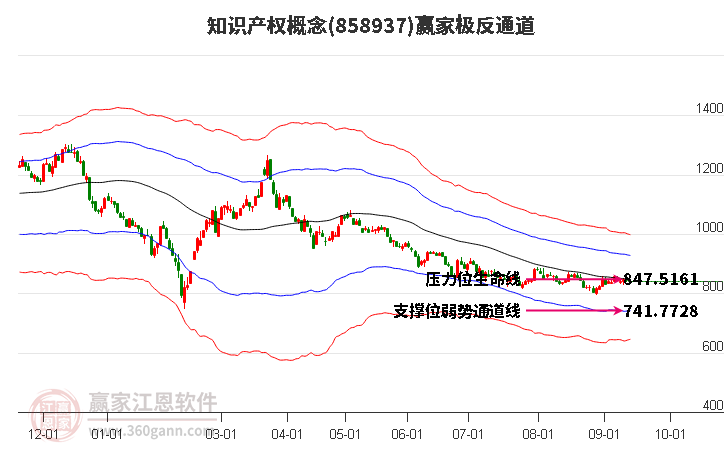 858937知识产权赢家极反通道工具