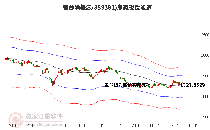 859391葡萄酒赢家极反通道工具