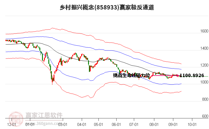 858933乡村振兴赢家极反通道工具