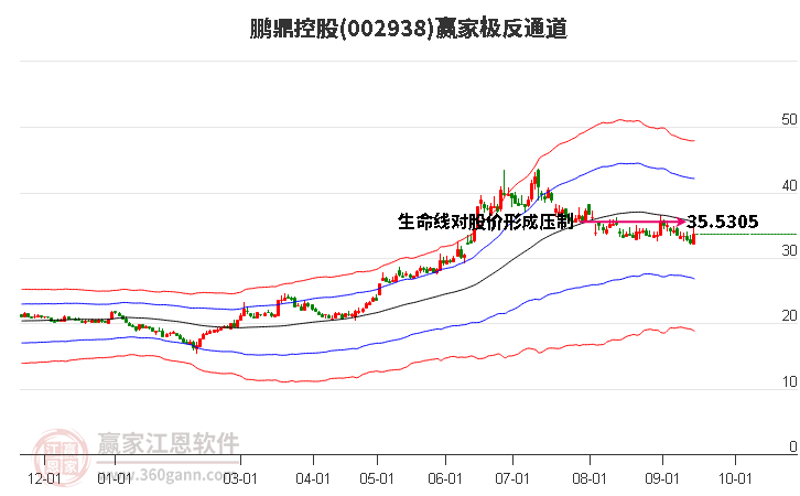 002938鹏鼎控股赢家极反通道工具