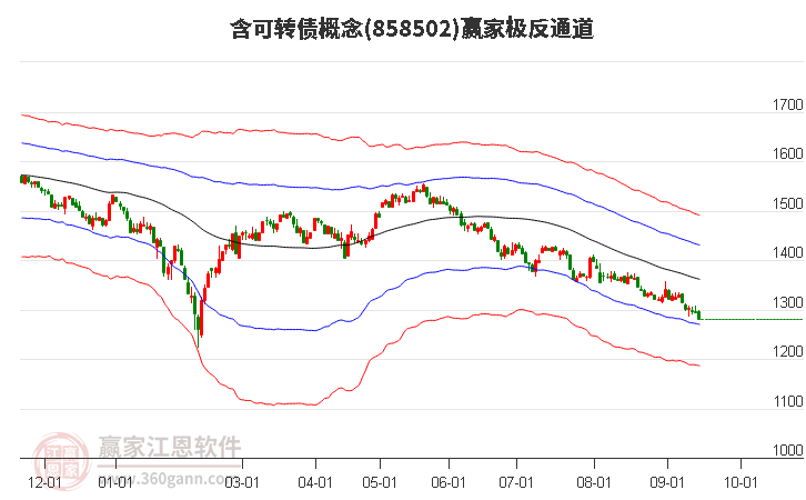 858502含可转债赢家极反通道工具