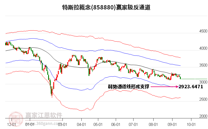 858880特斯拉赢家极反通道工具