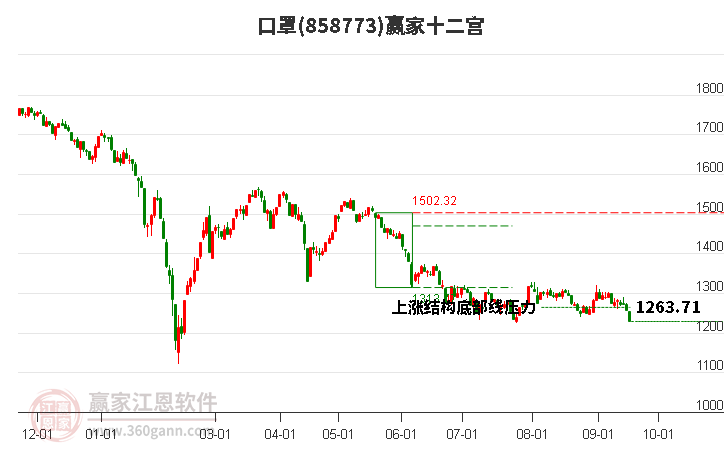 858773口罩赢家十二宫工具