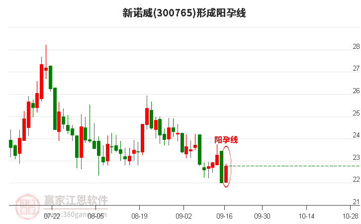 新诺威形成阳孕线形态