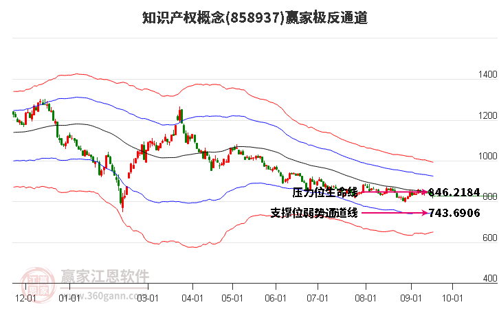 858937知识产权赢家极反通道工具