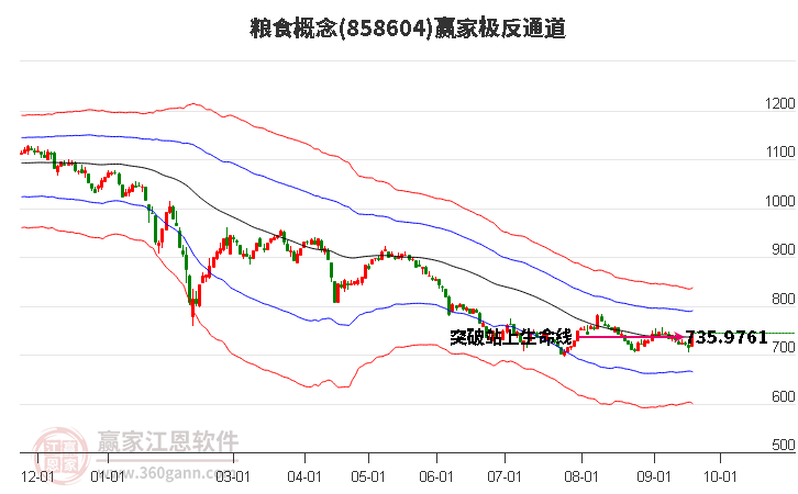 858604粮食赢家极反通道工具