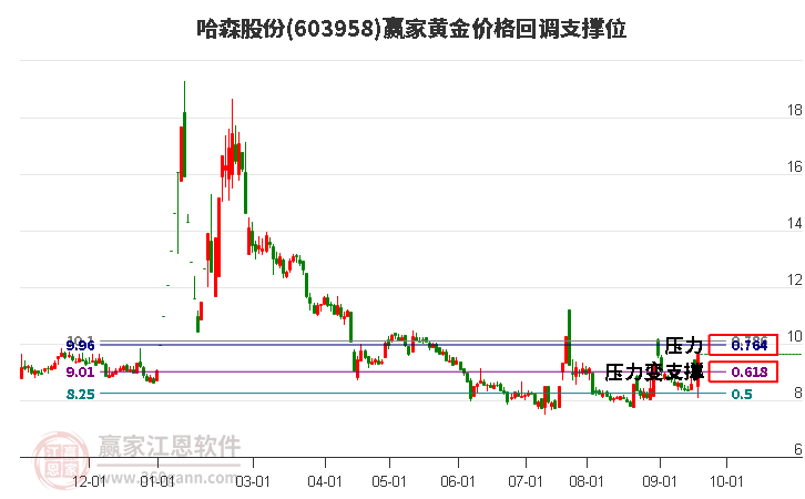 603958哈森股份黄金价格回调支撑位工具