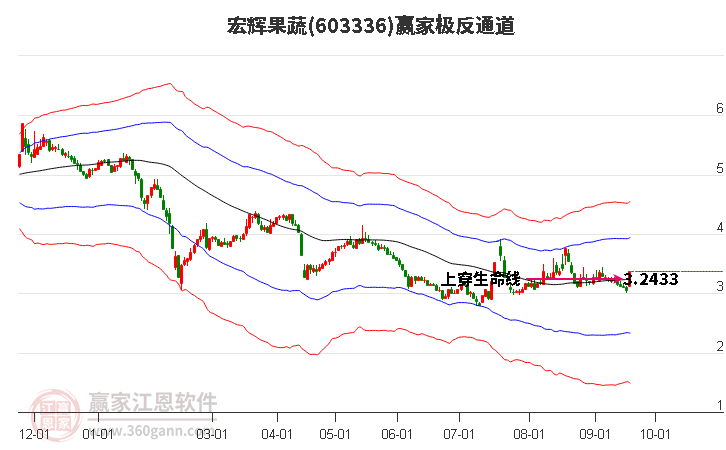 603336宏辉果蔬赢家极反通道工具