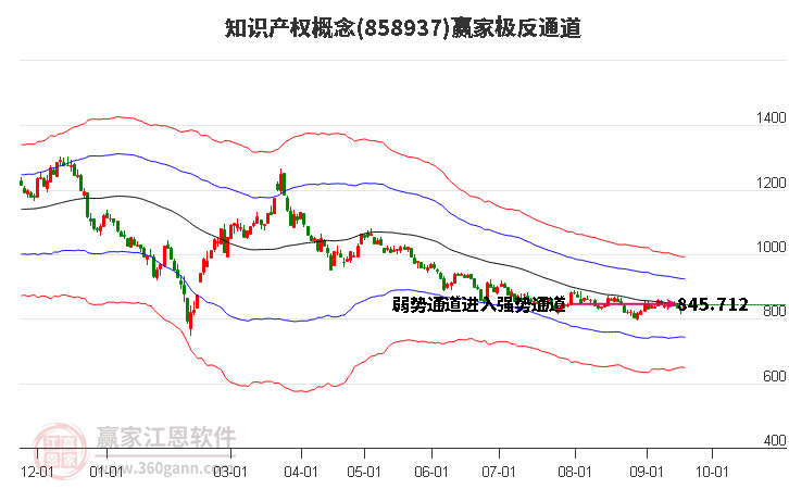 858937知识产权赢家极反通道工具