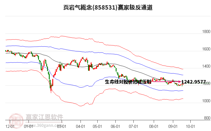 858531页岩气赢家极反通道工具