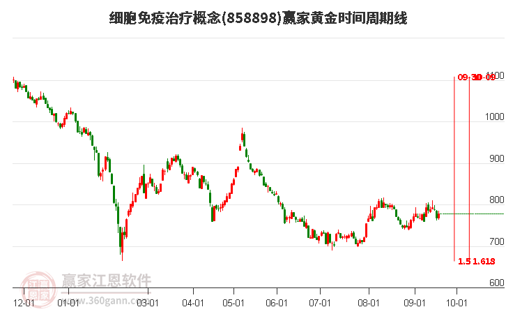 细胞免疫治疗概念赢家黄金时间周期线工具