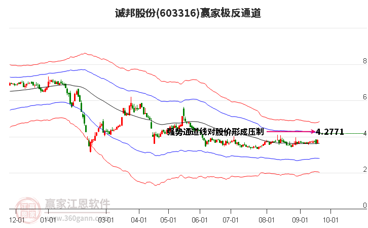 603316诚邦股份赢家极反通道工具