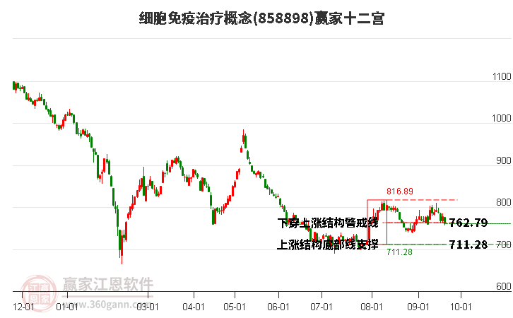 858898细胞免疫治疗赢家十二宫工具