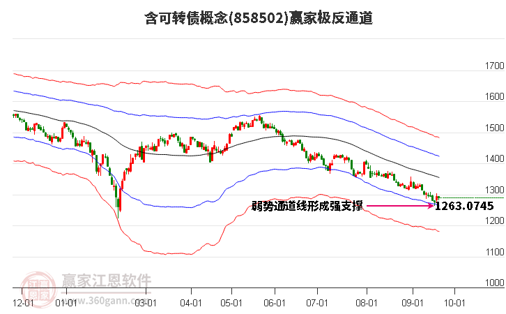 858502含可转债赢家极反通道工具