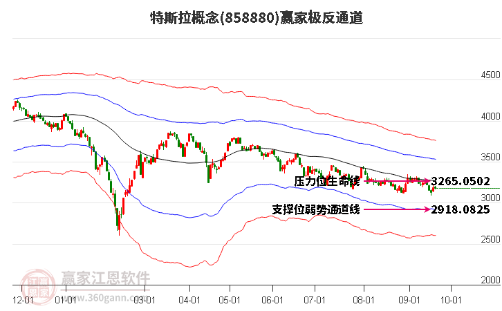 858880特斯拉赢家极反通道工具