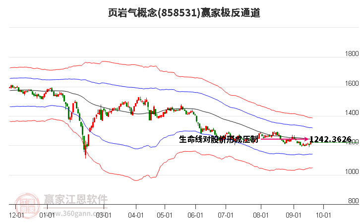 858531页岩气赢家极反通道工具