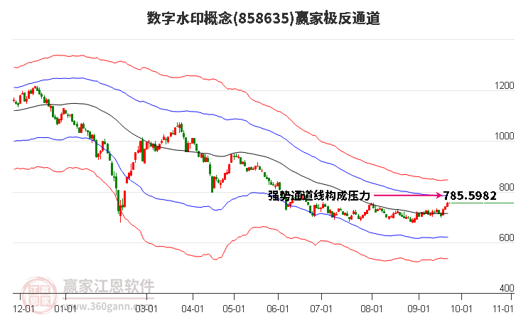 858635数字水印赢家极反通道工具