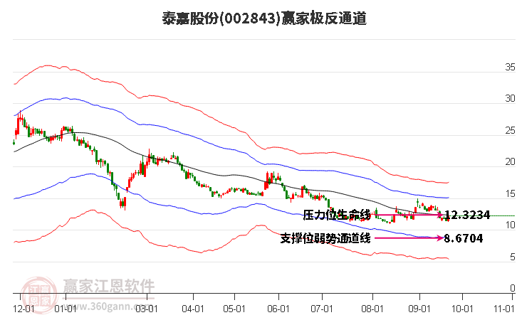 002843泰嘉股份赢家极反通道工具