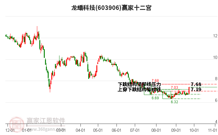 603906龙蟠科技赢家十二宫工具