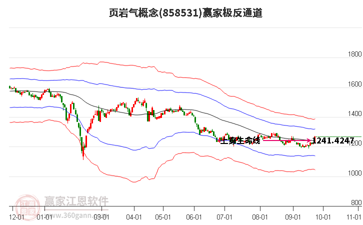 858531页岩气赢家极反通道工具