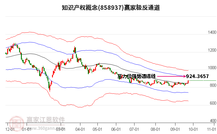 858937知识产权赢家极反通道工具