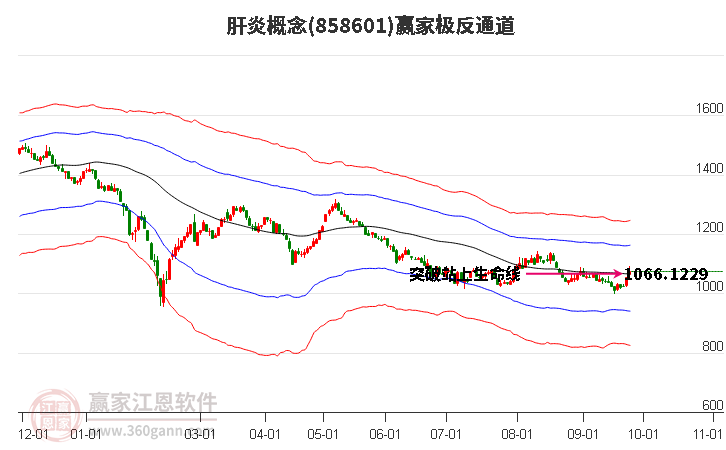 858601肝炎赢家极反通道工具