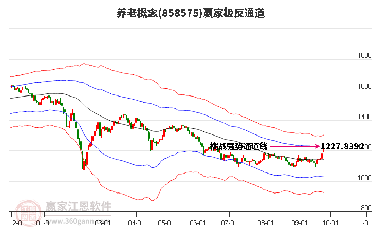 858575养老赢家极反通道工具