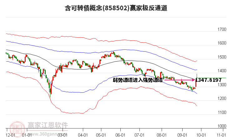 858502含可转债赢家极反通道工具