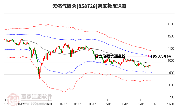 858728天然气赢家极反通道工具