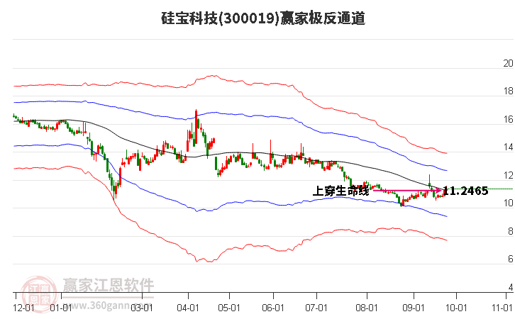 300019硅宝科技赢家极反通道工具