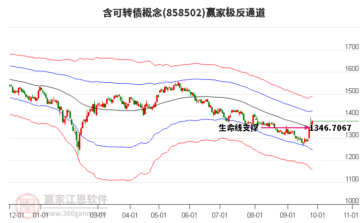 858502含可转债赢家极反通道工具