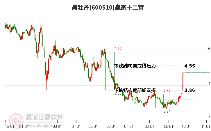 600510黑牡丹赢家十二宫工具