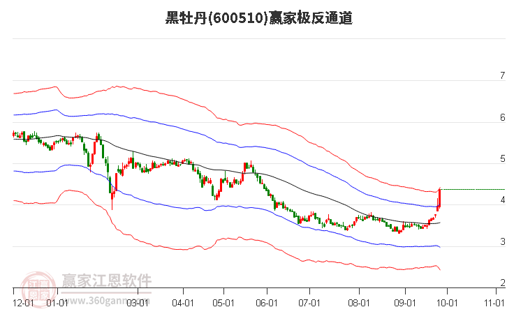 600510黑牡丹赢家极反通道工具