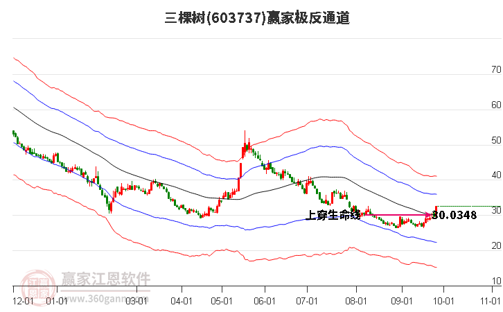 603737三棵树赢家极反通道工具