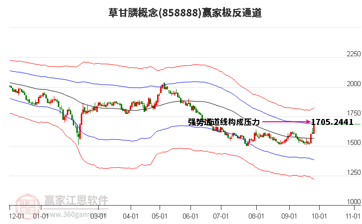 858888草甘膦赢家极反通道工具