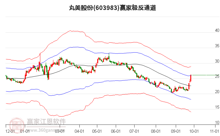 603983丸美股份赢家极反通道工具