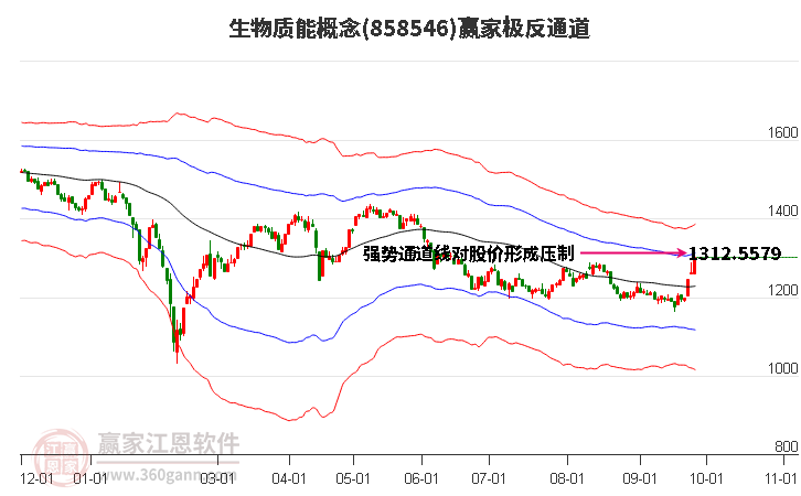 858546生物质能赢家极反通道工具