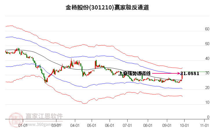 301210金杨股份赢家极反通道工具