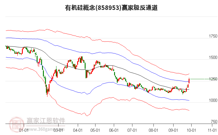 858953有机硅赢家极反通道工具