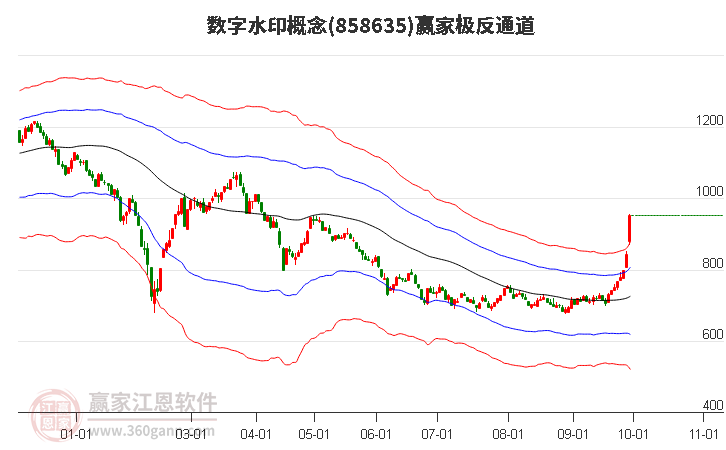 858635数字水印赢家极反通道工具